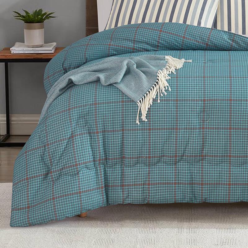 Tianqin Premium Soft Warm Quilt