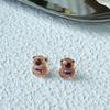 Cartoon Mini Ear Studs Transparent Capybara Stud Earring Retro   Carnival