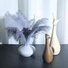 25-30cm Large Ostrich Feather for Wedding Bouquet or Photo Decoration