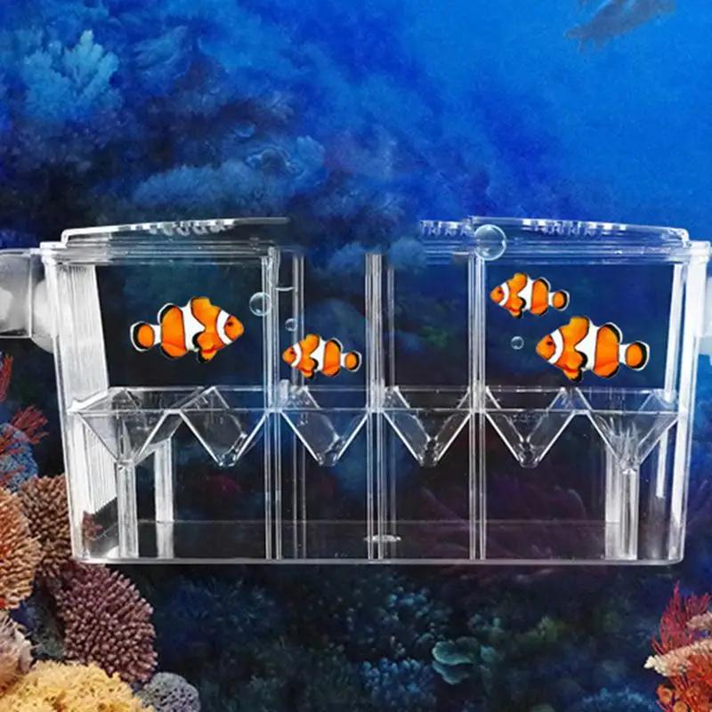 Acrylic Double-Deck Clear Fish Breeding Isolation Box Hatchery Divider for Shrimp Clownfish Aggressive Fish Injured