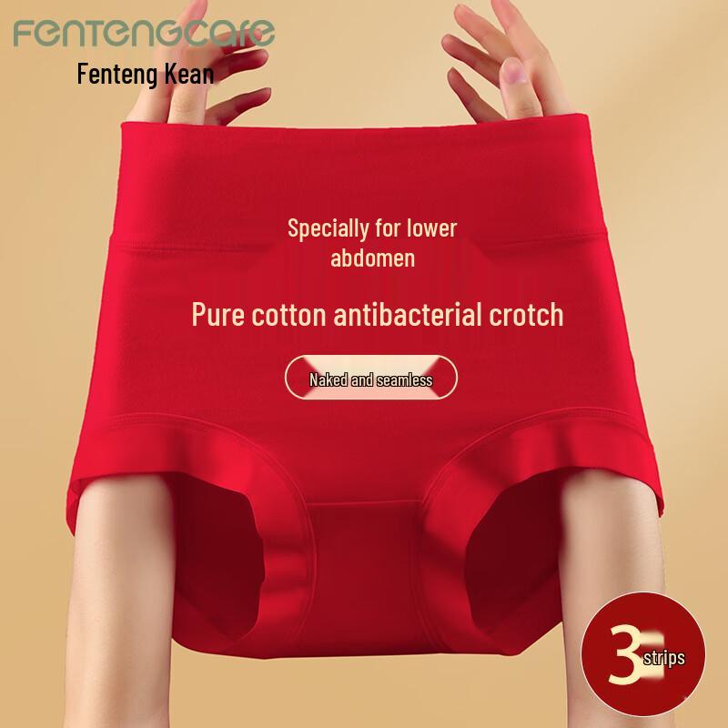 FENTENGCARE Women's 3-Pack High-Waist Antibacterial Tummy Control Briefs