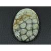 26X42X05MM Jewelry Making Natural Fossil Coral Oval Cabochon Loose Gemstone G-118