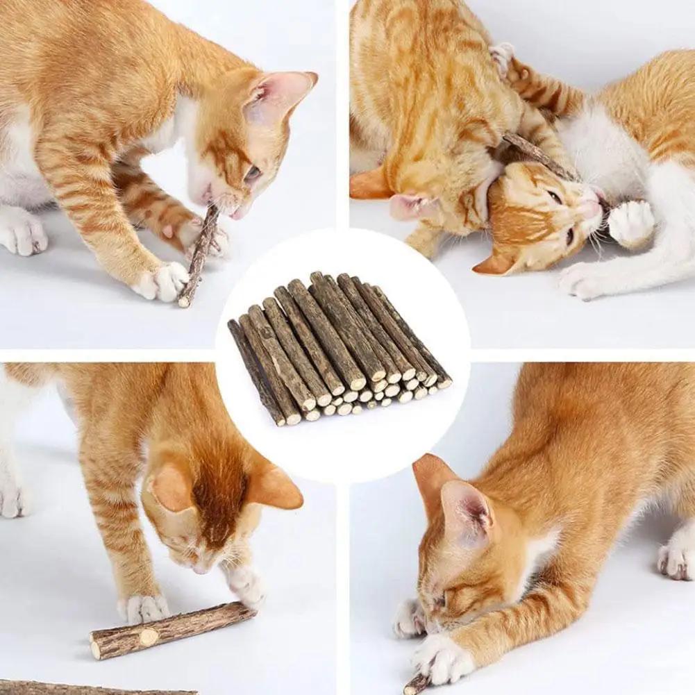 10Pcs Natural Catnip Pet Cat Molar Toothpaste Stick Cat Kitten Chew Toys  Pet Supplies Cat Snacks Sticks Healthy Pet Accessories