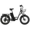 Bicicletta Elettrica Philodo T1 Ruota da 20" Motore da 750W Bicicletta Elettrica da Pendolarismo Urbano 48V 20Ah Freni a Disco Idraulici 7 Velocità Carico Massimo 150Kg