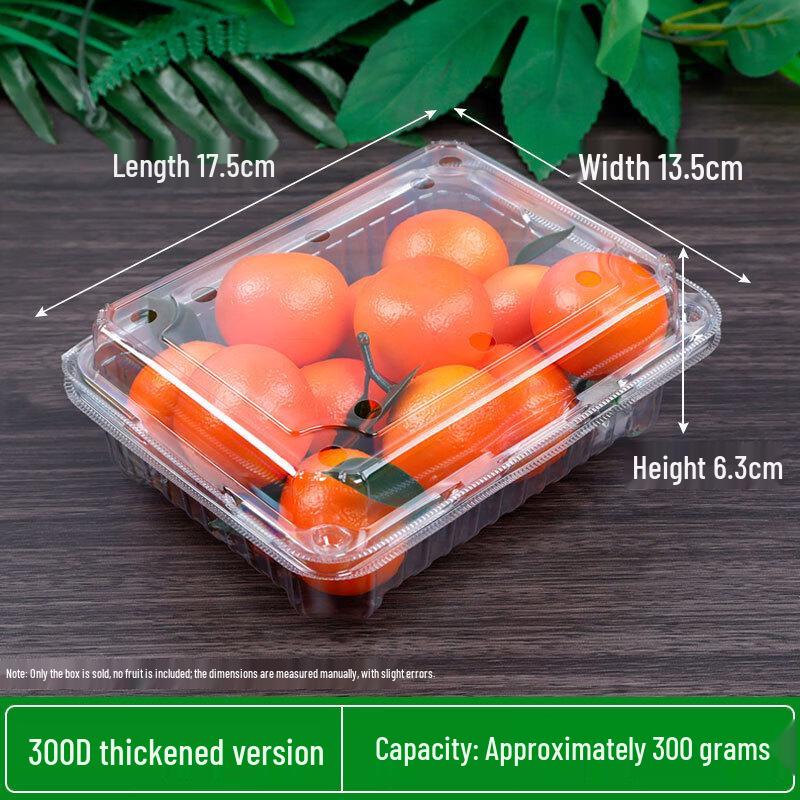 Tiemuyun Disposable Transparent Fruit Containers