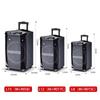 Malata M+9017C Portable Bluetooth Trolley Speaker with Microphone (CN Version)
