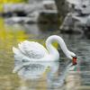 Floating Swan Garden Fountain Sculpture