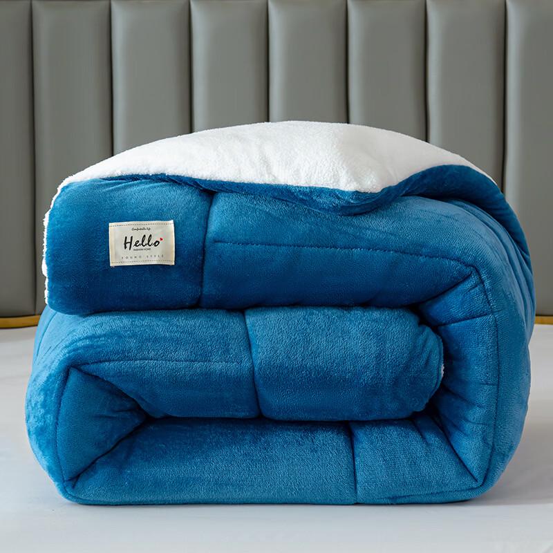 

Brangdy Double-Sided Velvet Winter Quilt
