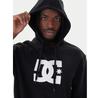 Толстовка DC Shoes Star