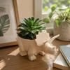 3D Printed Dinosaur Flowerpot Unique Novelty Pot Cute Desktop Decor for Office Living Room Home Decoration