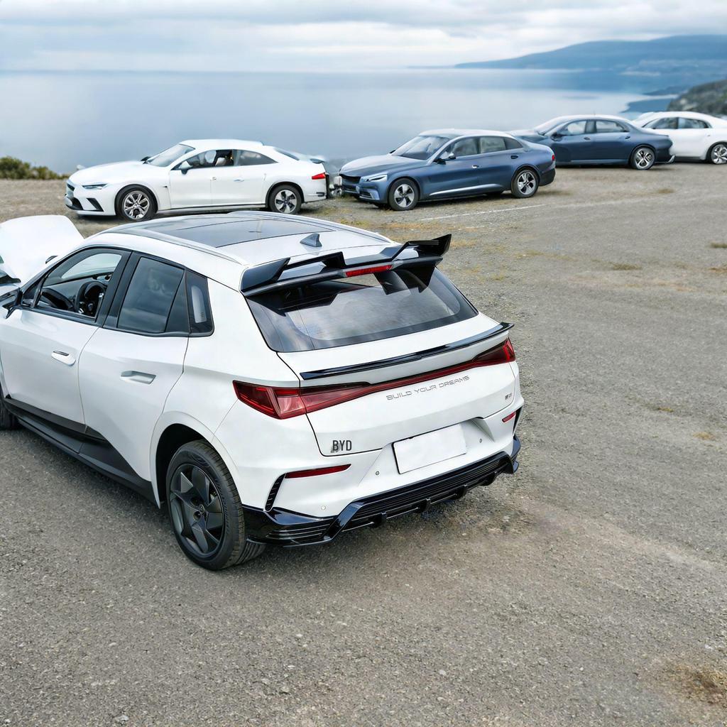 Compatible with BYD E2: Front Bumper Kit, Side Skirts, Rear Spoiler, Top Spoiler, Middle Spoiler, Rear Diffuser, Air Deflector, Rear Bumper. 