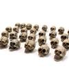 Synthetic Resin Skull Ornaments Halloweens Tabletop Decoration Set with Skeleton Figures