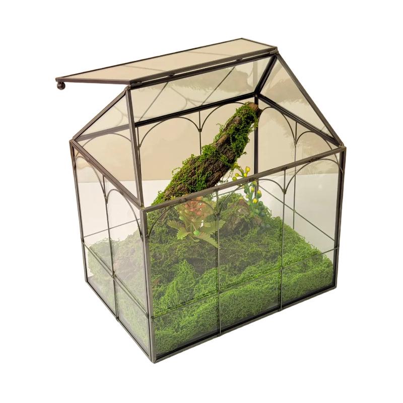 Glass Terrarium Micro-Landscape: Moss Ecological Green Plant Box & Reptile Rainforest Tank