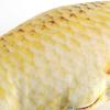 Creative 3D Carp Fish Shape Simulation Cushion Throw Pillow Children Gift Toy Sofa Home Decor