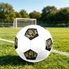 1PC Royal Lion Crest Soccer Ball Size 5 Football Machine Sewn Indoor/Outdoor Universal Football S6
