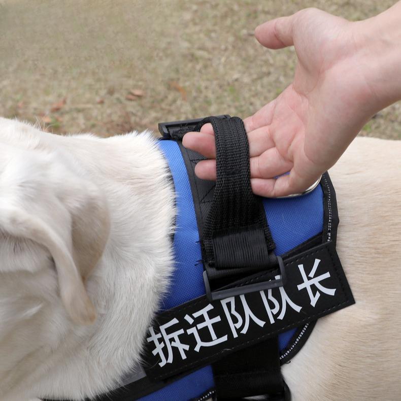 Hundeleine Explosionssicher Haustierbedarf Haustier Brustgeschirr Mittelgroße und Große Hundeweste-Stil Hunde-Spazierleine