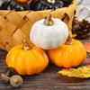 12 Pack Artificial Small Pumpkin Simulation Mini Pumpkins for Halloween Decor