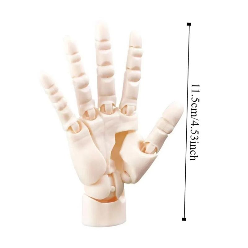 Movable Joint Finger Gashapon 1/2 Hand Model 1:1 Palm Painting Art Miniature Model Reference Tool Hand Desktop Decoratoion