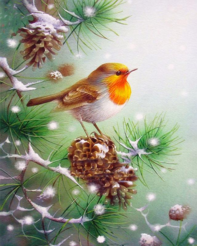 

Алмазная картина, новая птица и павлин, 5D DIY, Алмазная вышивка, распродажа, стразы с животными, мозаика, вышивка крестиком, Декор для дома Full Square 20X30CM светло-синий