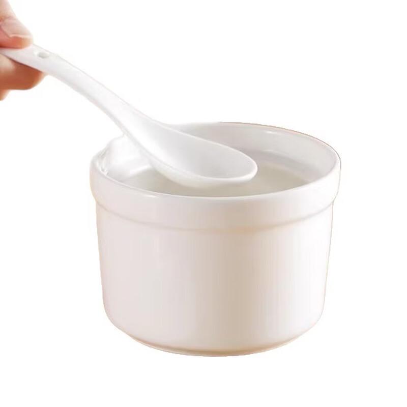 Ceramic Double-Boiler Stew Pot with Lid