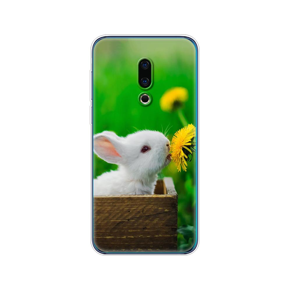 

Чехлы для Meizu 16th, силиконовый чехол 6,0 дюйма для Meizu 16th Plus, чехол etui 6,5 дюйма, мягкая задняя крышка из ТПУ для телефона, чехол-бампер, чехол с рисунком Meizu 16th plus