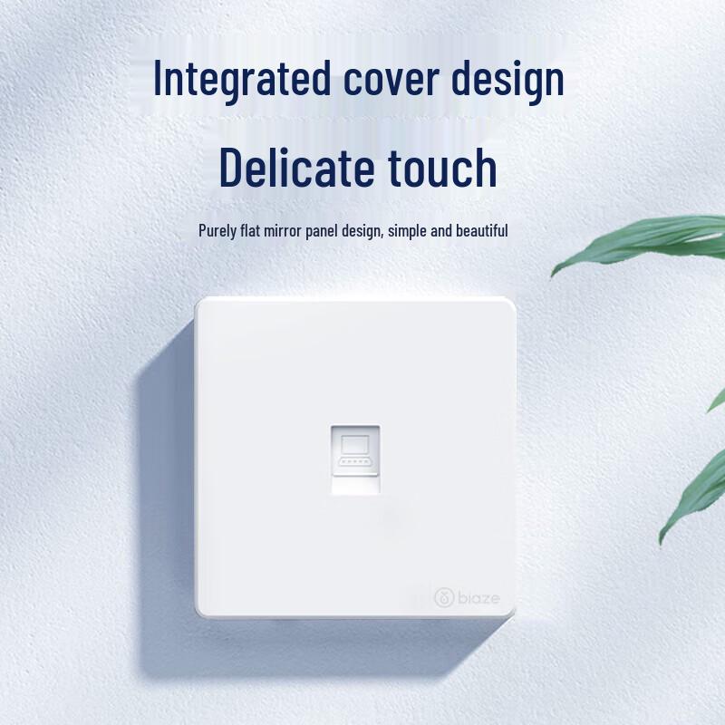 

BIAZE Cat6 Gigabit RJ45 Network Wall Plate with Punch-Down-Free Module