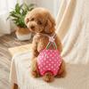 Adjustable Pet Sanitary Pants Washable Dog Heat Pants Cute Dog Physiological Pants  Daily Use
