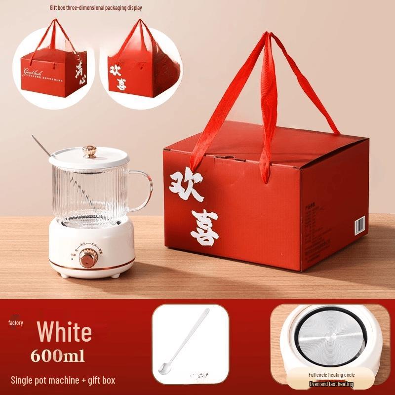 ZISIZ Electric Health Tea Kettle