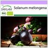 Bio - Lilek - Black Beauty - 25 semen - Solanum melongena