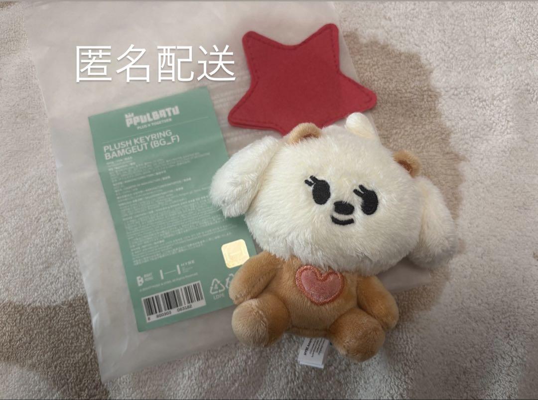 

[USED] Bamguk Key Ring