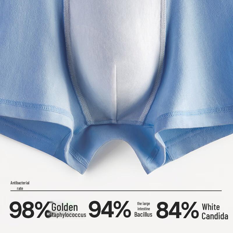 HLA Men's 50-Count Cotton Printed Antibacterial Boxer Briefs (3-Pack)