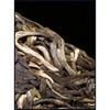 357g Tè Puerh Shen Bingdao Albero Antico Tè Puerh Crudo Torta di Tè Puerh Tè Pu erh