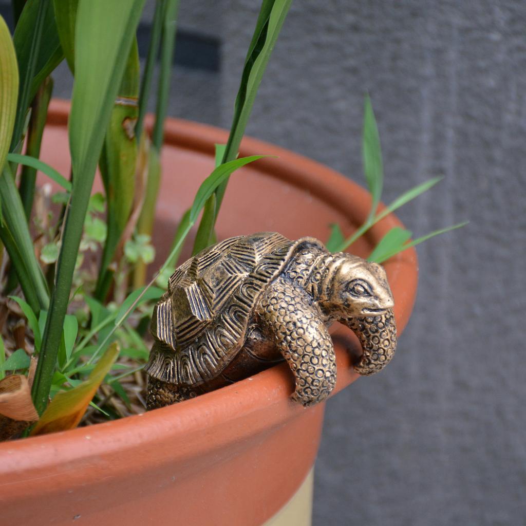 1 Piece of Retro Bronze Turtle Statue Small Ornaments Gardening Flower Pot Edge Decoration Garden Desktop Micro Landscape Creative Layout Realistic