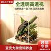 Acrylic Terrarium Arboreal Reptiles Amphibians - Clear Vivarium Box Geckos Anoles Tree Frogs