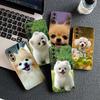 Soft Cover for Apple iPhone 13 12 Mini XS 11 Pro Max 7 8 Plus + XR SE 2022 2020 SE3 Coque Phone Case Pomeranian Poodle Dog