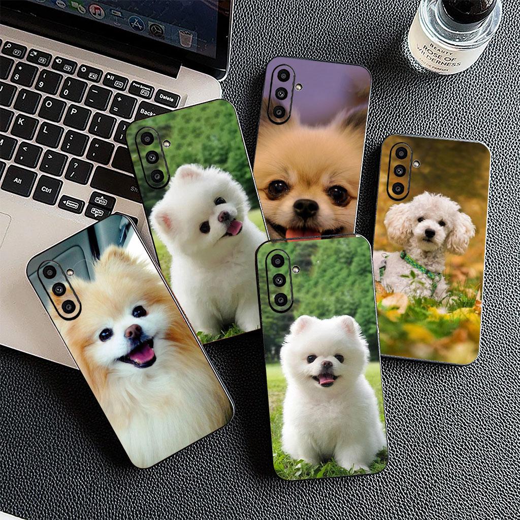 Soft Cover for Apple iPhone 13 12 Mini XS 11 Pro Max 7 8 Plus + XR SE 2022 2020 SE3 Coque Phone Case Pomeranian Poodle Dog