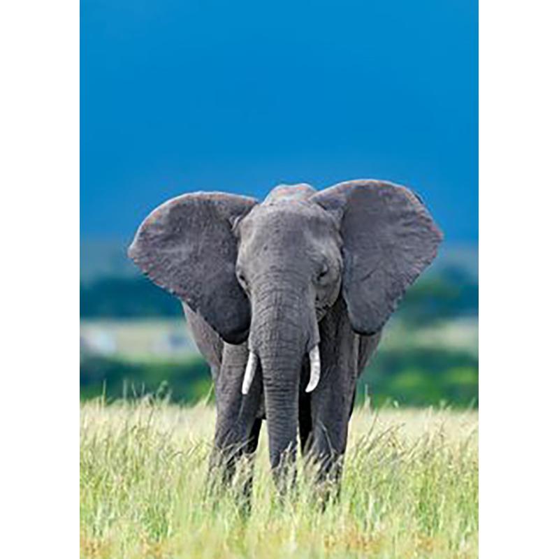 Diy Elephant 5D Diamond Painting Full Round Drill Cross Stitch Animal Diamond Embroidery Rhinestone Home Decor Wall Art Gift