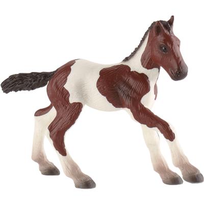 Potro de Raza Quarter Horse Bullyland