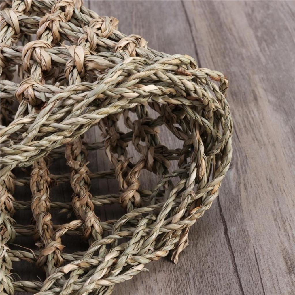 Ještěrka Lehátko Plaz Hračky Houpací síť Houpačka Domácí Zvířata Trojúhelník Anoles Gekoni Leguáni