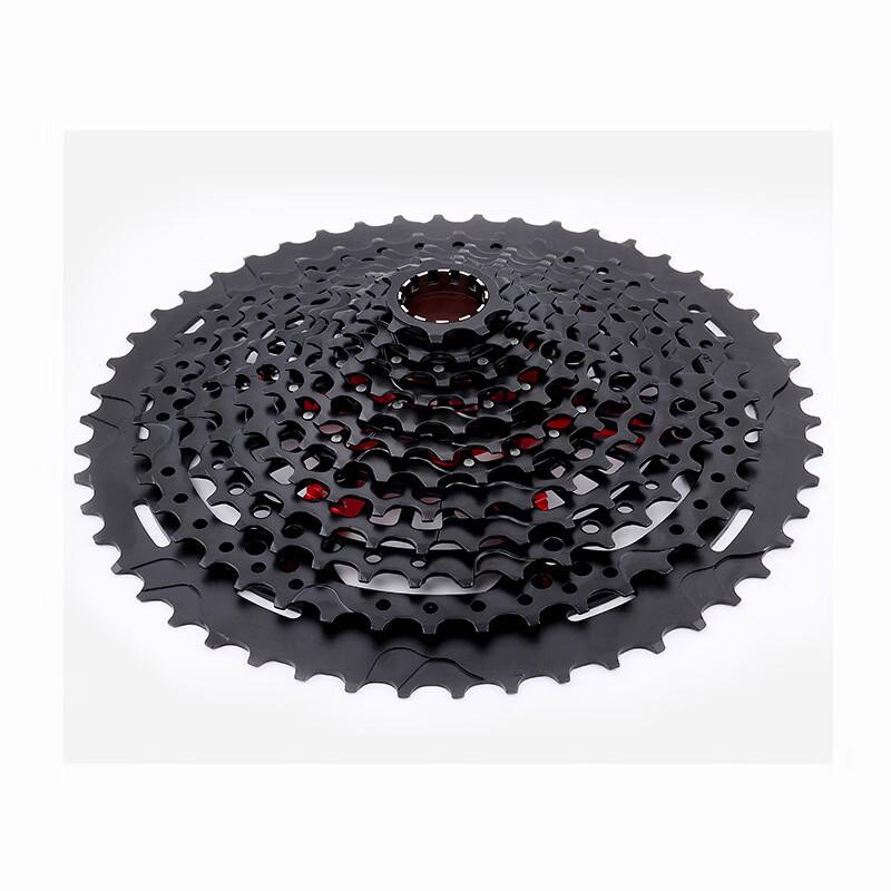 Lishi 12-Speed XD Mountain Bike Cassette