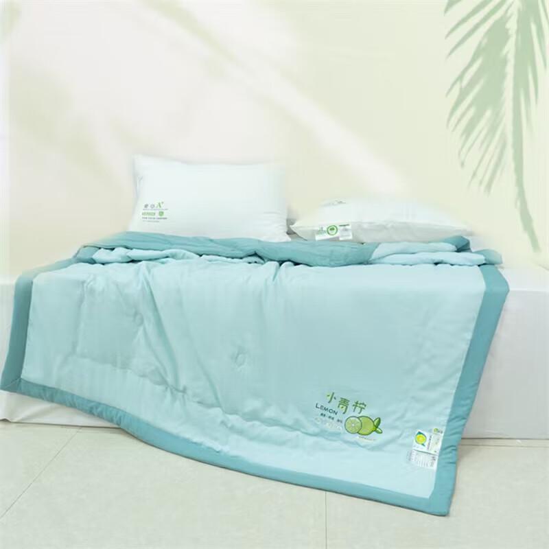 

Donner Home Textiles Soft Washed Cotton Summer Quilt