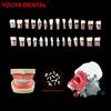 Sănătate orală – Instrumente stomatologice