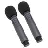 Drahtlose Dynamische Mikrofon mit 2,4G Empfänger 10 Kanäle Anti Störungen Bluetooth Wireless Zwei