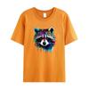 Thermal Patches Raccoon Cute Stripes Fashion Jeans Diy Accessory Sticker Heat Press Appliqued Thermo Transfer Animal Series