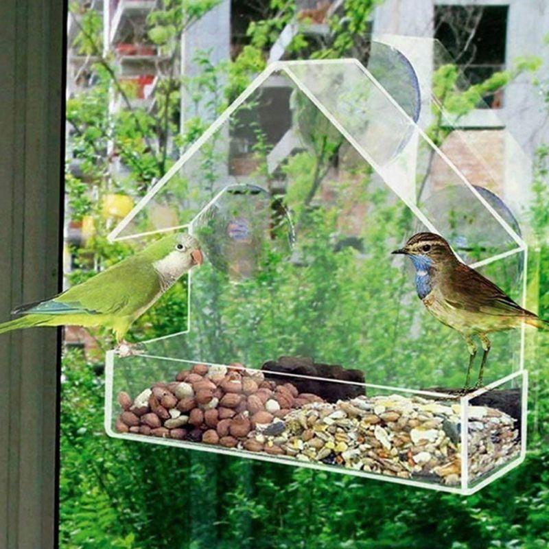 Bird Feeder Acrylic transparent Bird Food Bowl with suction cup, removable and easy to clean 6 inches x 6 inches x 2.8 inches