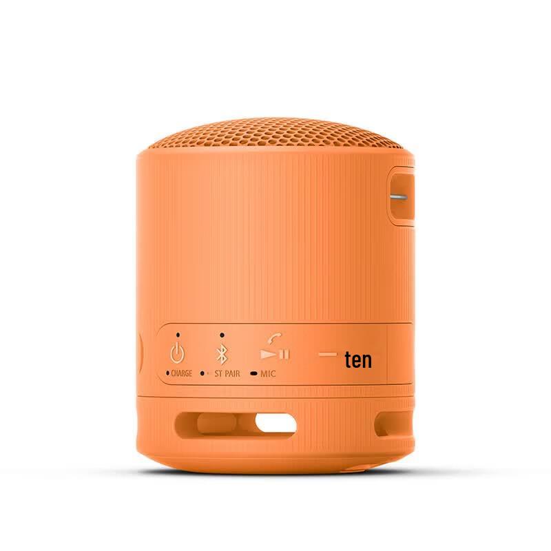 Sony SRS-XB100 Portable Bluetooth Speaker (CN Version)