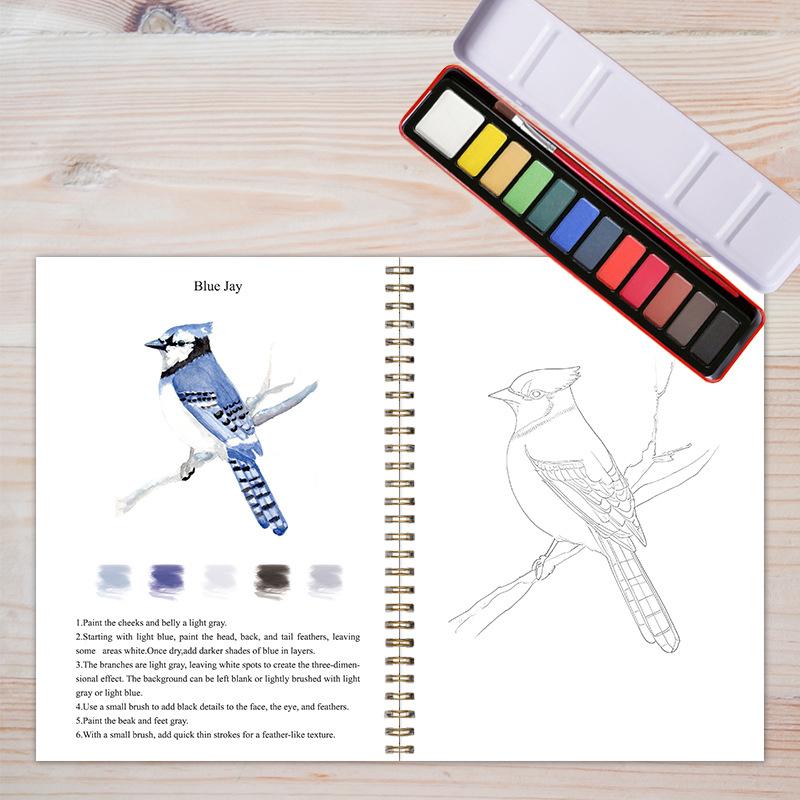 Beginner Watercolor Workbook Painting Kit – 12 Colors Paint Set With Brush Art Supplies For Adults & Teens