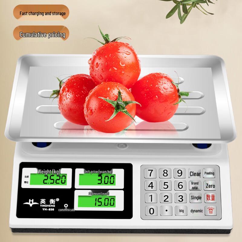 Commercial Digital Platform Scale (CN version)