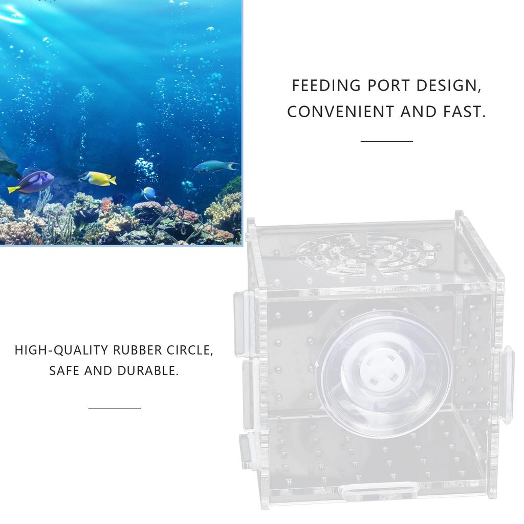 Fish Isolation Box Acrylic Fish Breeding Box Aquarium Hatchery for Baby Fishes Shrimp