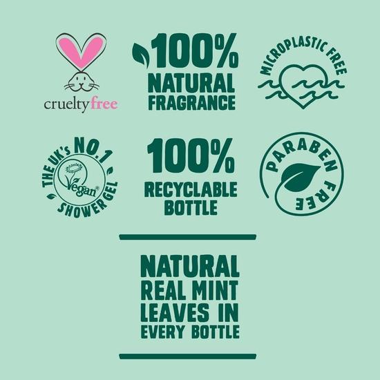 Original Source Minze & Teebaum Duschgel